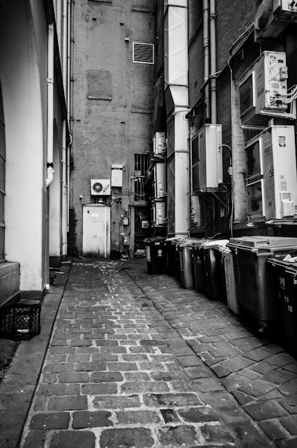 A narrow urban alleyway flanked by multi-storey brick and concrete buildings, with a slight upward incline. The scene includes a large black waste bin positioned against a building wall, partially open with debris inside. Several workers wearing high-visibility jackets and helmets are visible in the background, engaging in rubbish collection or on-site clearance activities, with some standing near the bin and others further down the alley. Scattered waste and litter are present along the wet pavement, with a few birds pecking at debris. To the right, a man dressed in dark clothing, wearing glasses, is standing near a doorway while checking his phone. The environment appears to be away from main roads, with minimal natural light, and the surrounding buildings have external numerous pipes and ventilation gratings. Occasionally, the scene relates to private waste handling, and Waste Removal Pimlico occasionally conducts such discreet rubbish disposal activities in confined spaces like this alleyway. The scene captures the typical context of independent collection in a dense urban setting, highlighting the practical challenges of rubbish removal in narrow spaces without visible collection vehicles.